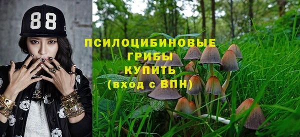 2c-b Гусь-Хрустальный